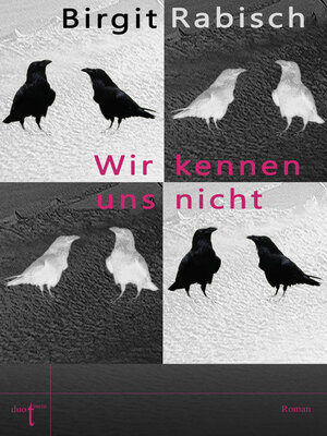 cover image of Wir kennen uns nicht